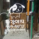 똥강아지 애견샵 이미지