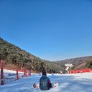 교직원콘도 | 하이원리조트 교직원 스키/보드캠프 2박3일 내돈내산(밸리콘도 슈페리어 패밀리룸)