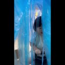 별빛세차장 Daum카페