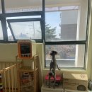 깔꼼 애견미용실 이미지