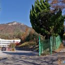 보도중로2-17 | 전남 여수 호랑산(482m) 화랑의 전설이 남은 일망무제 암봉의 가을(2025.11.29)