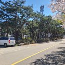 지천소공원 이미지