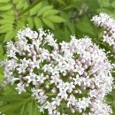 경희한방약국 이미지