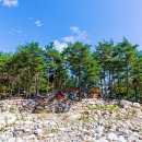 왕피천 숲속 캠핑장 이미지