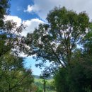 겸백보건지소 이미지