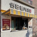 카츠후 티스토리