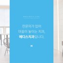 길 메디스 이미지