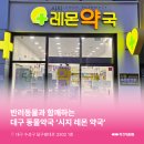 시지레몬약국 네이버블로그