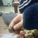 고부경로당 이미지