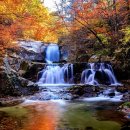 방태천민박 이미지