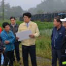 입석2 태양광발전소 이미지