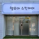 쉘모아스킨케어 네이버블로그