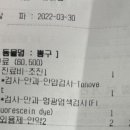 화원연합동물병원 이미지