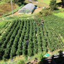 광수중학교 이미지