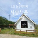 사랑새봄 | 고창 애견동반 카페 추천 커피 맛집 사랑새봄