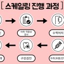 동물병원예지 네이버블로그