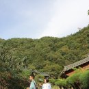들꽃산방한옥계곡펜션