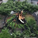 느티나무사거리 이미지