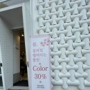 헤어윤끼 | [당산역미용실]헤어아티스트 M 당산점, 카나토 클리닉 후기 / 수진 스타일리스트