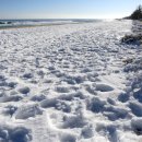 연곡해변 솔향기캠핑장 이미지