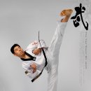 코리아 태비 태권도 이미지