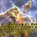 하나한 네이버블로그