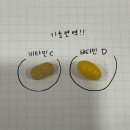 지노에너지 | 피곤하면 꼭 보세요 지노마스터&오쏘몰 vs 이뮨쎄나&이뮨샷
