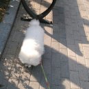 옷이목욕하는날 이미지