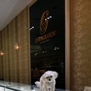 퍼블리코 이미지