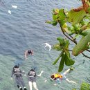 돌아온 보홀&amp;시키호르 여행: 태풍과 함께한 추석명절 효도여행 (4) - 보홀자유여행/헤난프리미어코스트...