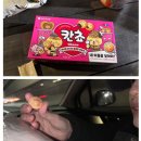 12월 메리크리스마스