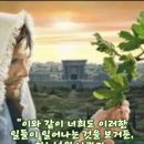 2025-11-28연중 제34주간 금요일＜너희는 이러한 일들이 일어나는 것을 보거든 하느님의 나라가 가까이 온 줄 알아라.＞ 이미지