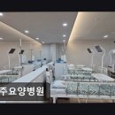 260 | 전북 완주 요양병원 완주요양병원 친절+청결 두 마리 토끼 잡다