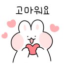 정경아메디요가