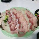 (주)신신수산 | 권선동 맛집 외식 추천 | 신신강원도수산 맛집 솔직 후기