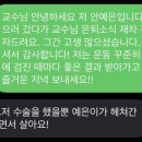 주채 네이버블로그