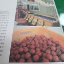 써니팜