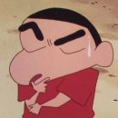 🐣애견미용 학원생의 삐약삐약 도구 소개 #2 🐥