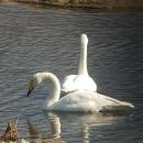 하남유니온타워 1층 이미지