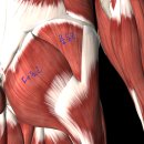 루가의원 이미지