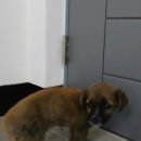 선산중앙로-8 이미지