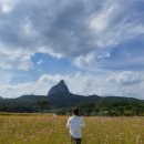 진안읍 1377 이미지