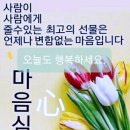 오랜만예요 푸른향기님 이미지