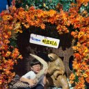 비케이메디 이미지