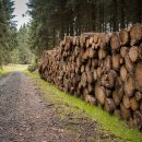 희망2행정사 이미지