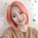 꼬야