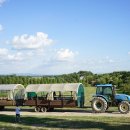 수평목장 이미지