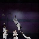 송중태권도 이미지