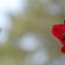 옥림해안 이미지