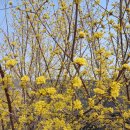 도야마을회관 이미지